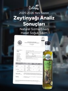 Soğuk Sıkım Zeytinyağı Analiz Raporu