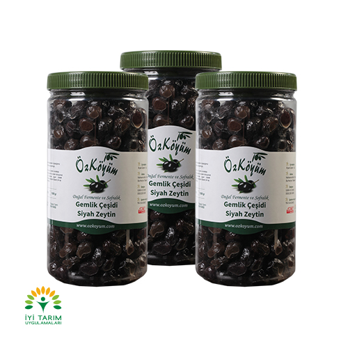 Gemlik Duble Yağlı Sele Siyah Zeytin 3 KG