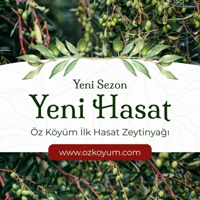 Yeni Sezon İlk Hasat Soğuk Sıkım Zeytinyağı 5 LT - Ön sipariş thumb